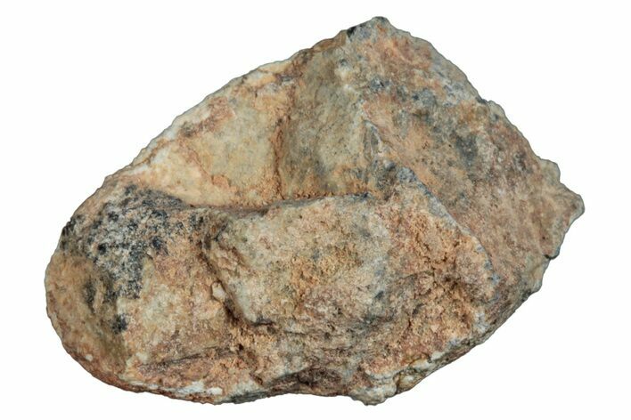 Lunar Meteorite ( g) - Bechar #288508
